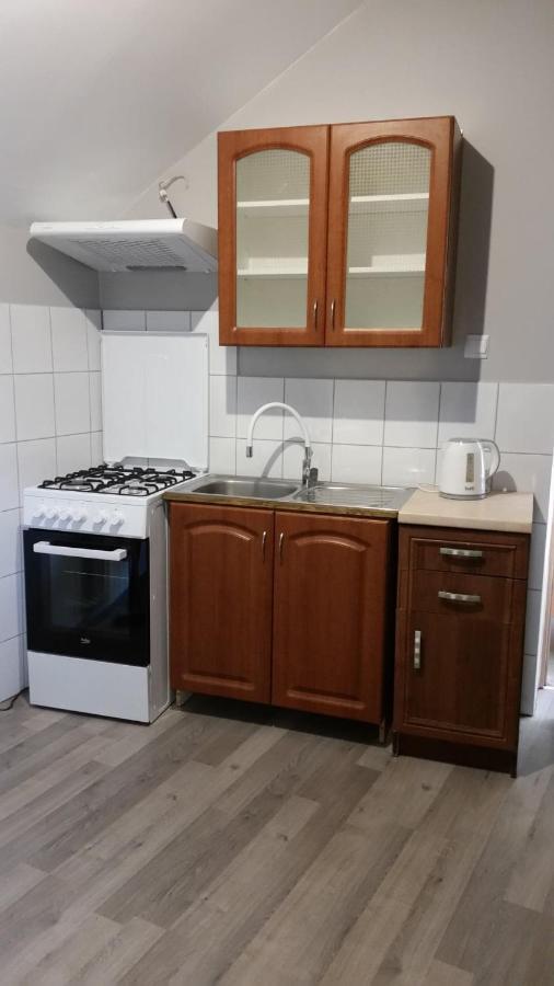 Pokoje Goscinne "U Karola" Pracownicze Ścinawa 外观 照片