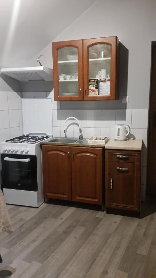 Pokoje Goscinne "U Karola" Pracownicze Ścinawa 外观 照片