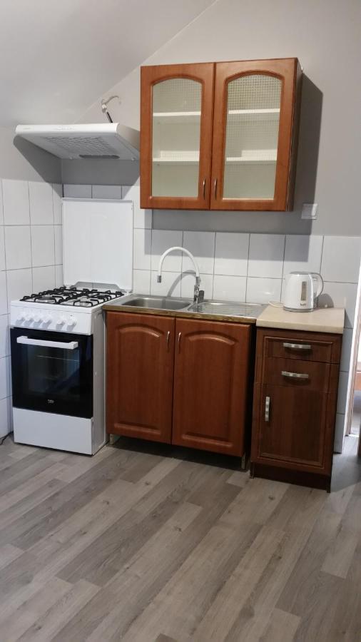 Pokoje Goscinne "U Karola" Pracownicze Ścinawa 外观 照片